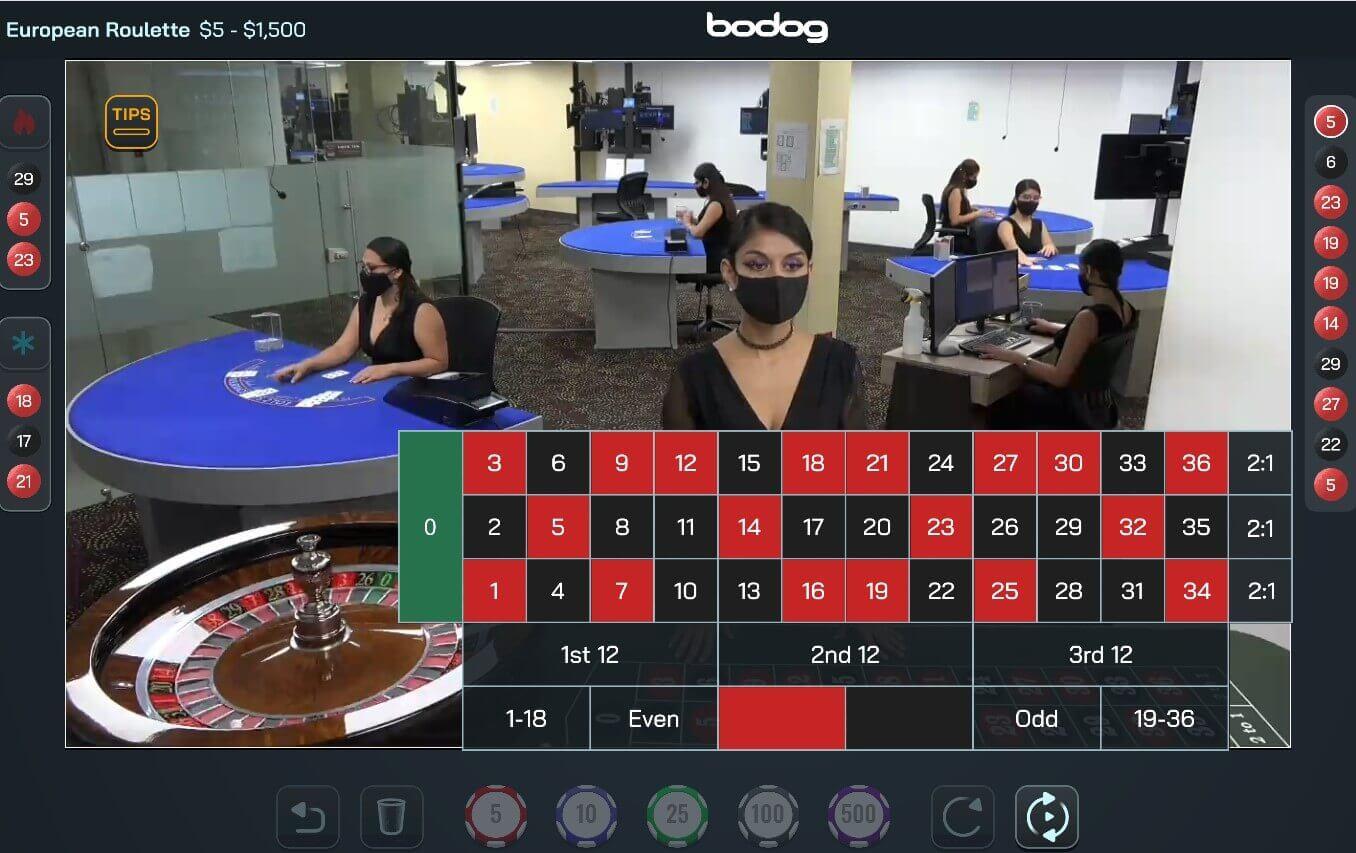 Bodog Casino Live Roulette 