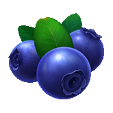 Blueberries Symbol