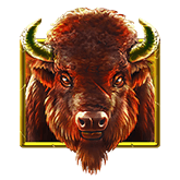 Buffalo Trail - Payout table - symbol Buffalo