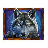 Buffalo Trail - Payout table - symbol Wolf
