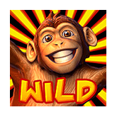 Monkey Mayhem payout table - symbol Wild