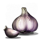 Garlic Symbol