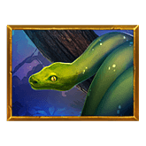 Golden Amazon Payout Table - symbol Snake