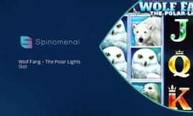 New Wolf Fang - The Polar Lights slot from Spinomenal